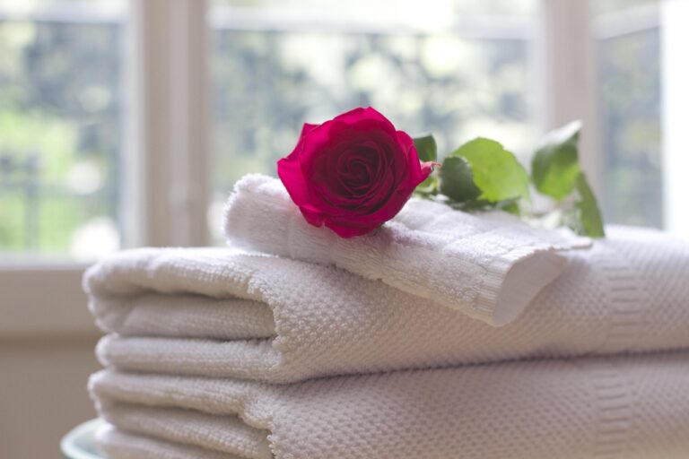 towel, rose, clean, care, salon, spa, rose flower, white, bath, relax, hospitality, hotel